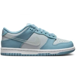 NIKE DUNK LOW 'CLEAR SWOOSH'