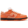 Nike SB Dunk Low X Concepts 'Orange Lobster' -Best Shoes Shop Untitled 4 d4d3553a 0814 42ad b7e4 b7b51f8842ac